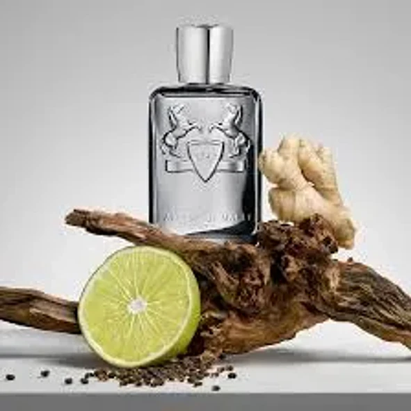 Parfums De Marly Paris Castley Edp 125ml Hombre 3