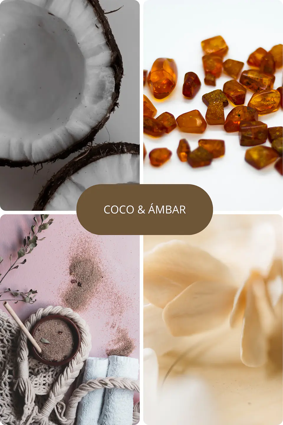 Coco & Ámbar  1