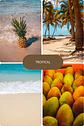 Tropical  - Miniatura 1