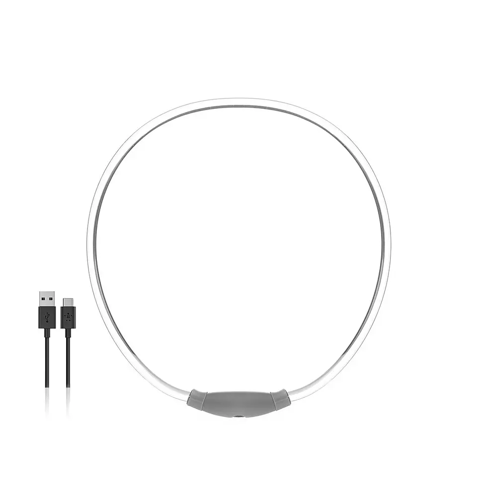 LED Collar for Pets Petlux InnovaGoods 1