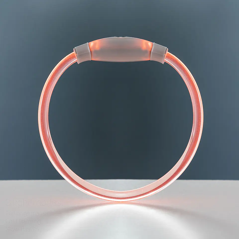 LED Collar for Pets Petlux InnovaGoods 9