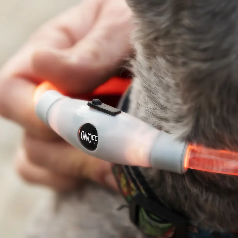 LED Collar for Pets Petlux InnovaGoods 10