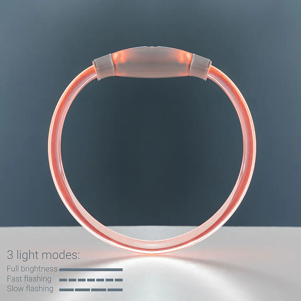 LED Collar for Pets Petlux InnovaGoods 11
