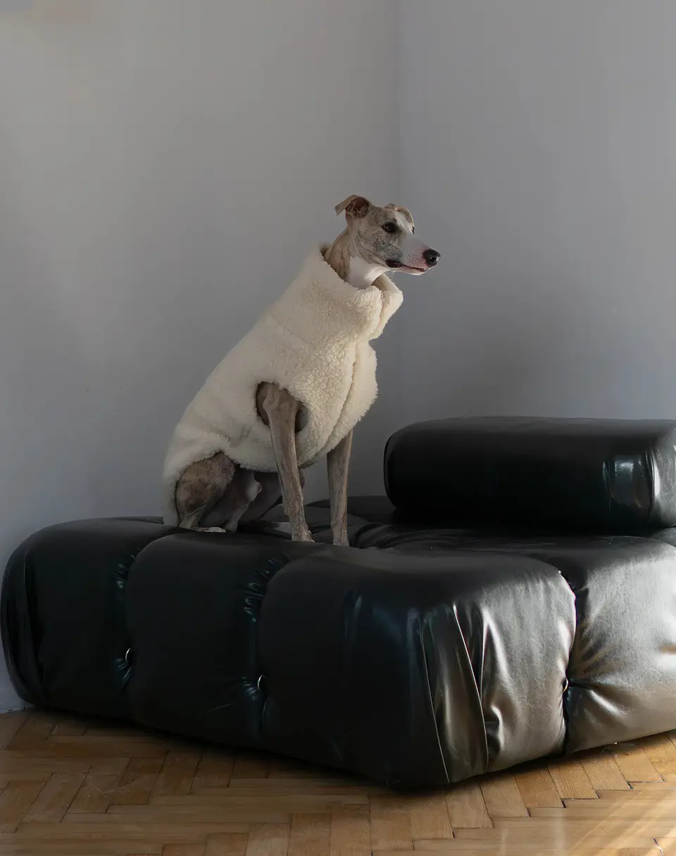 Woolen Dog Vest - White 1