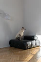 Woolen Dog Vest - White - Miniatura 2