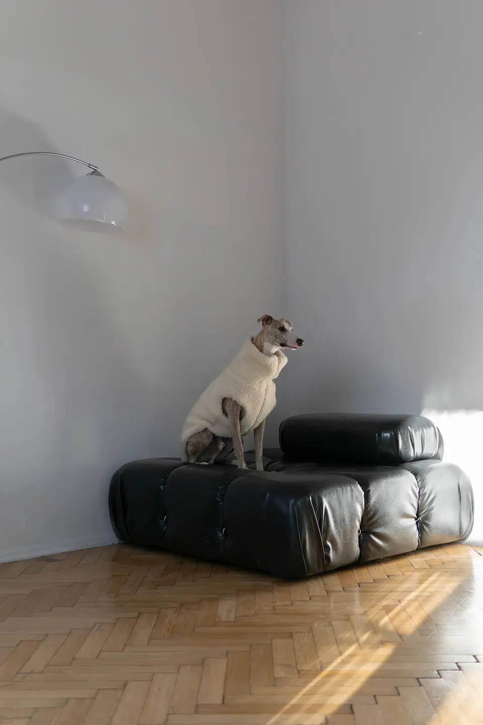 Woolen Dog Vest - White 2