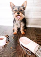 2 IN 1 PORTABLE PET FEEDER - PINK - Miniatura 3