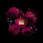 Antonio Banderas Her Secret Temptation Eau De Toilette 80ml - Miniatura 5