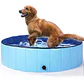 Piscina pentru caini - Miniatura 1
