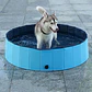 Piscina pentru caini - Miniatura 5