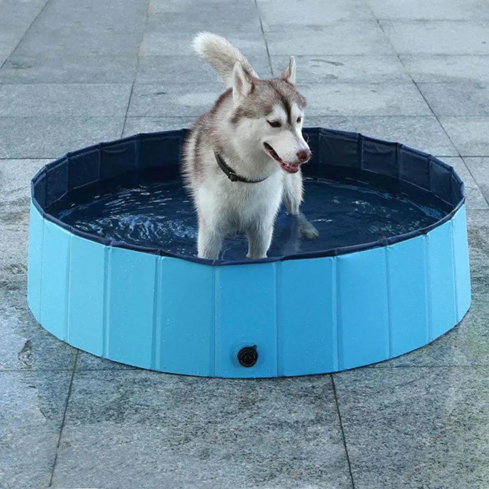 Piscina pentru caini 5