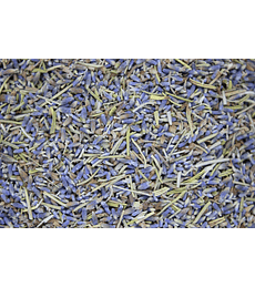 Lavanda 