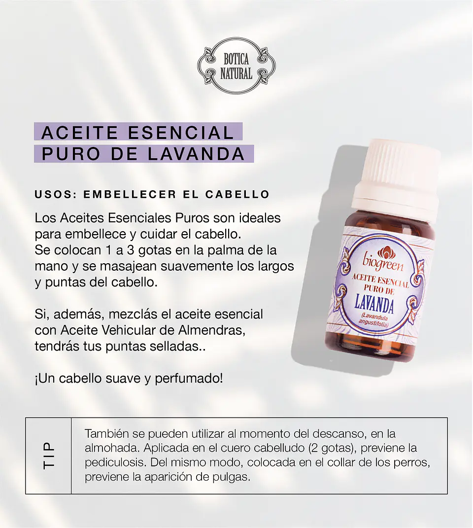 Aceite Aromaterapia - Lavanda 10ml 2