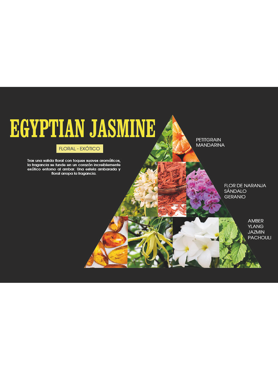 Fragrância Jasmin do Egipto 2