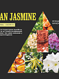 Fragrância Jasmin do Egipto - thumbnail 2