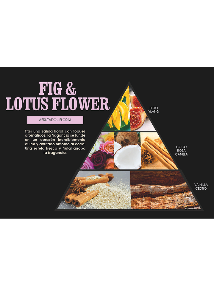 Fragrância Figo & Flor de Lótus 2