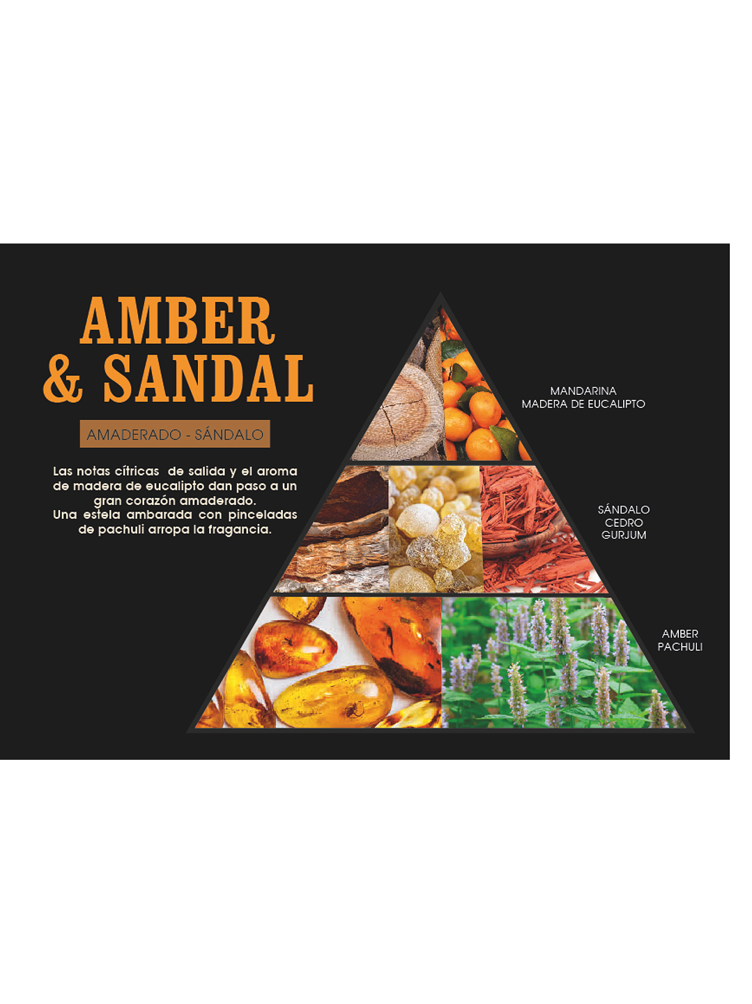 Fragrância Âmbar e Sândalo 2