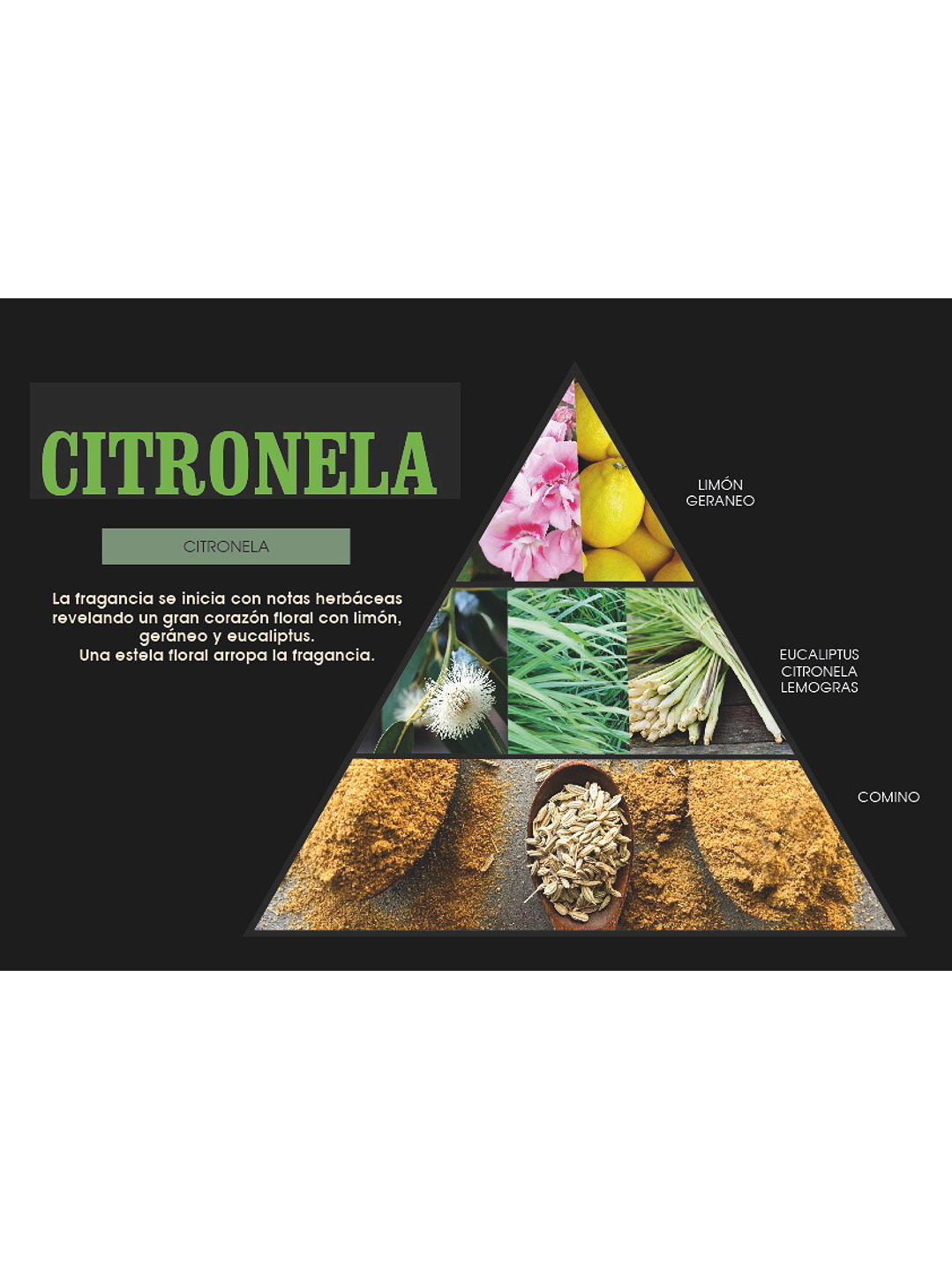 Fragrância Citronela 2