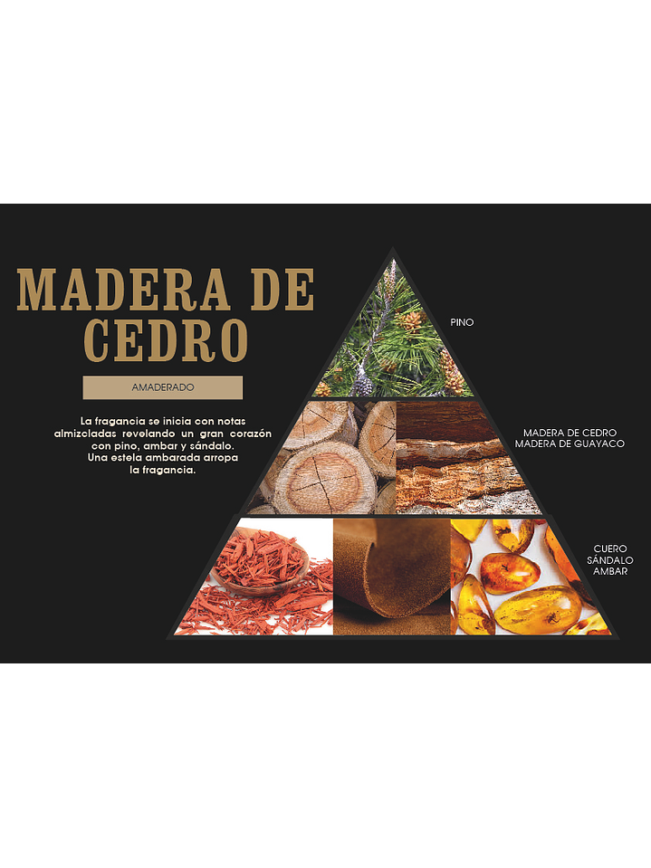 Fragrância Madeira de Cedro 2