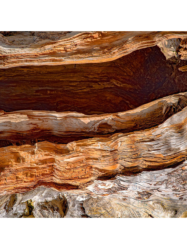 Fragrância Madeira de Cedro 1