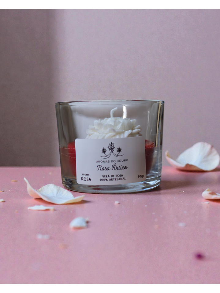 Vela Rosa Ártico 1