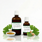 EXTRACTO DE GINKGO BILOBA ATK - Miniatura 1