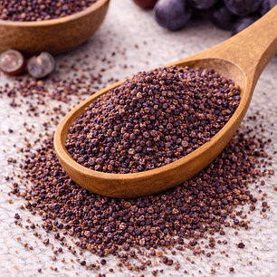 EXFOLIANTE SEMILLA DE UVA - MALLA 25/40 ATK