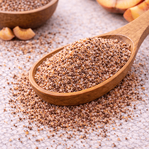 EXFOLIANTE SEMILLAS DE DURAZNO - MALLA 25/40 ATK