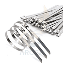 Amarra Acero Inoxidable 304 - 700x7,9mm BL100 unid 4