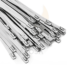 Amarra Acero Inoxidable 304 - 700x7,9mm BL100 unid 3