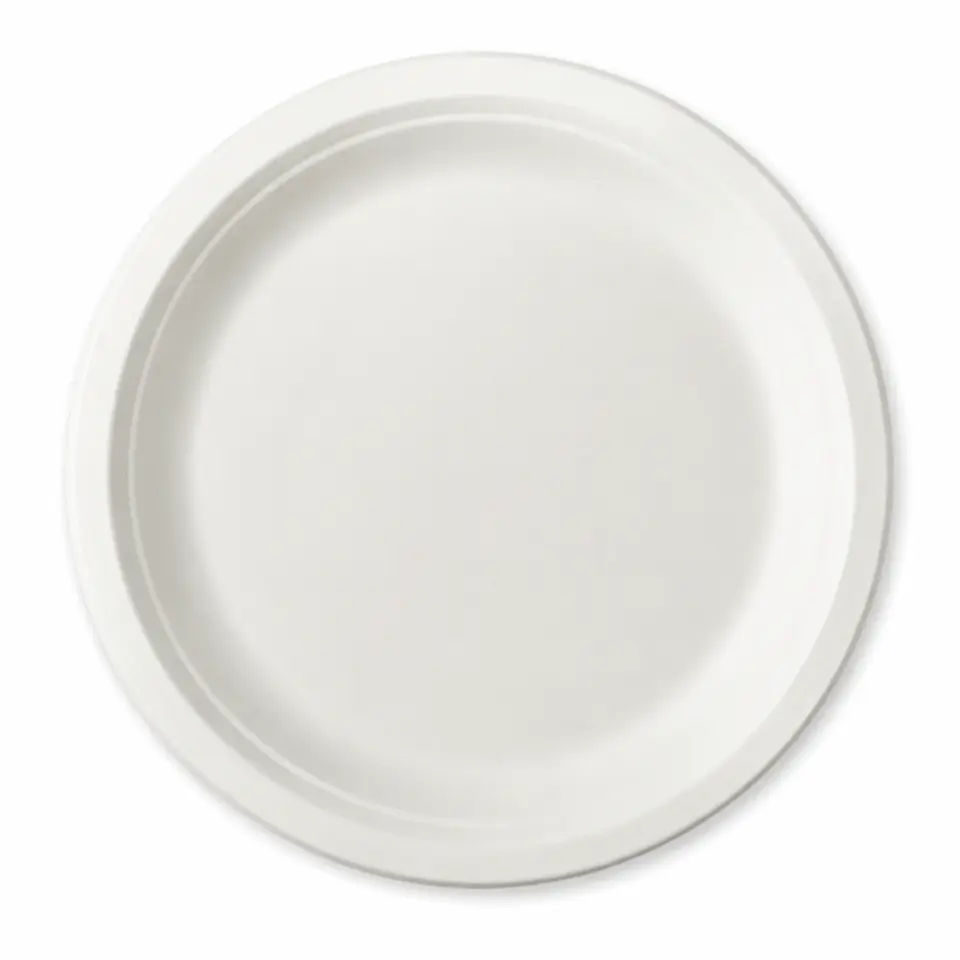 Prato Cartão Fibra 22Cm 500 unidades 1