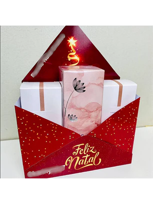 Arquivo Caixa Envelope Natal