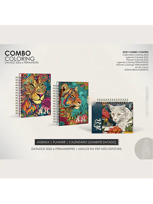 Arquivo Combo Coloring / Datados e Permanentes 2026