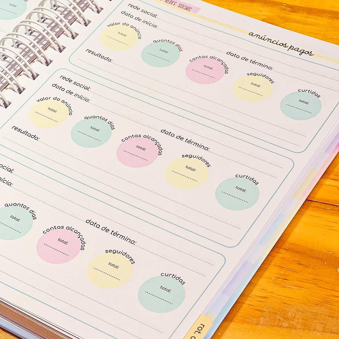 Arquivo Planner Empreenda 8