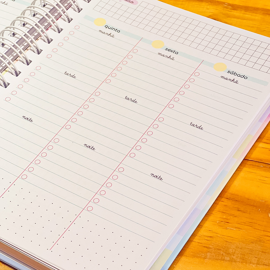 Arquivo Planner Empreenda 9