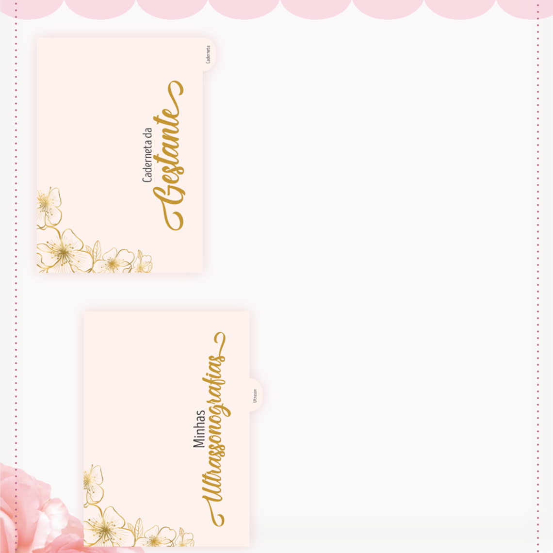 Arquivo Caderneta da Gestante + Brindes 8