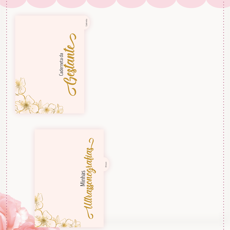 Arquivo Caderneta da Gestante + Brindes 8