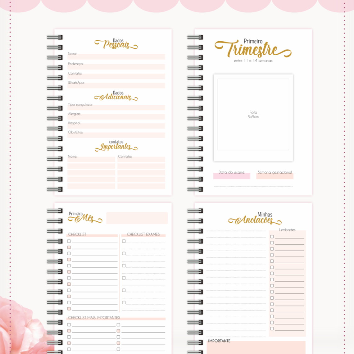 Arquivo Caderneta da Gestante + Brindes 7