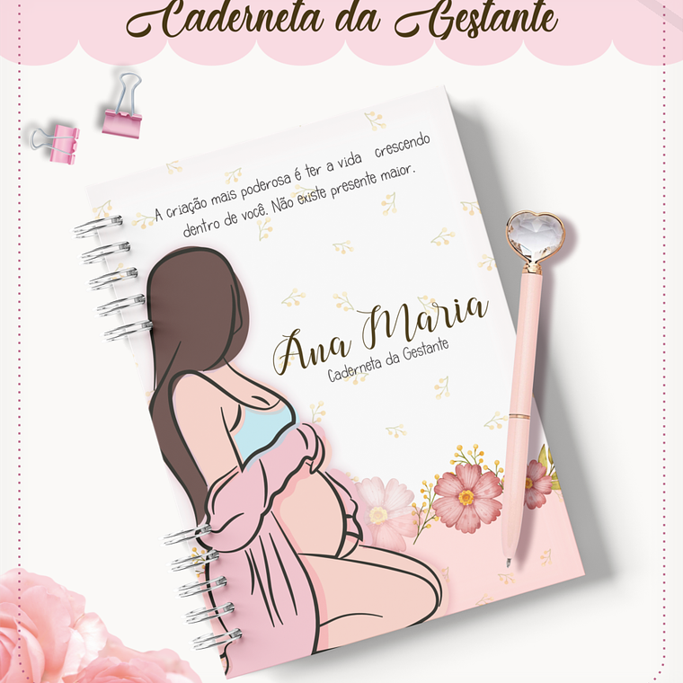 Arquivo Caderneta da Gestante + Brindes 2