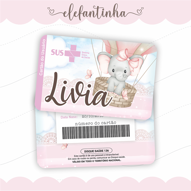 Arquivo Caderneta de Saúde - Elefastinha 4