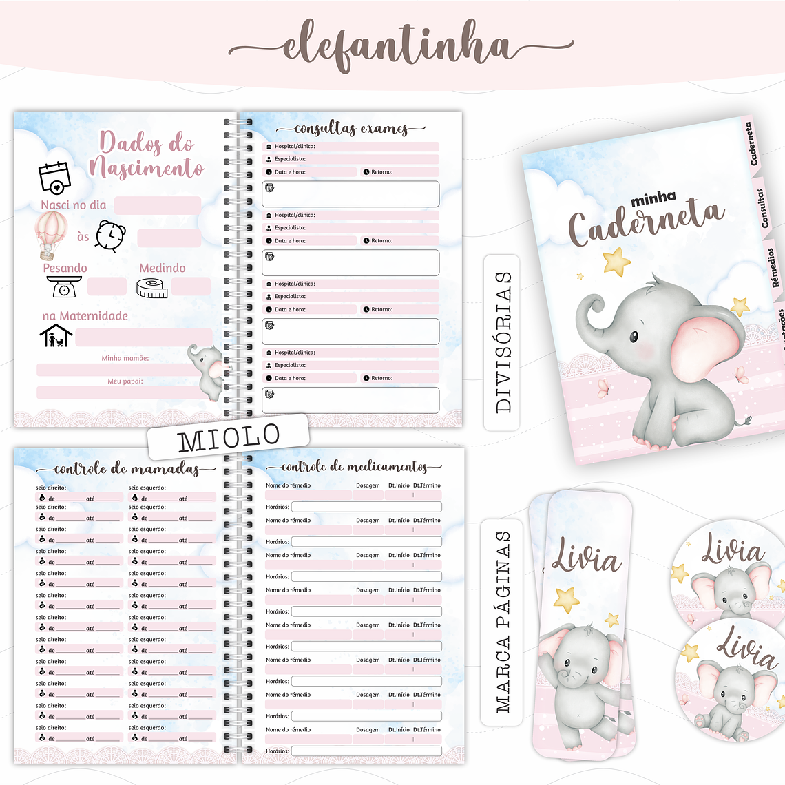 Arquivo Caderneta de Saúde - Elefastinha 3