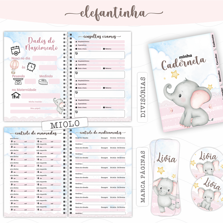 Arquivo Caderneta de Saúde - Elefastinha 3