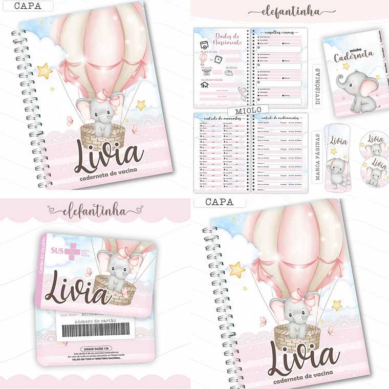 Arquivo Caderneta de Saúde - Elefastinha 1