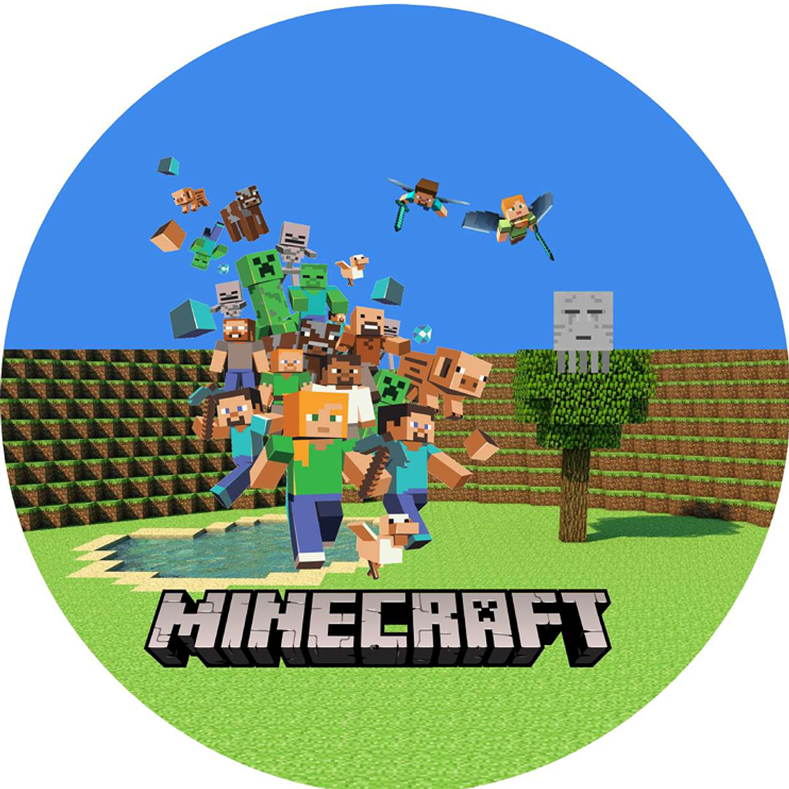 Arquivo Painel Miecraft  1