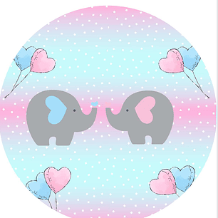 Arquivo Painel Chá Revelação Elefantes