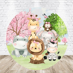 Arquivo Painel Safari