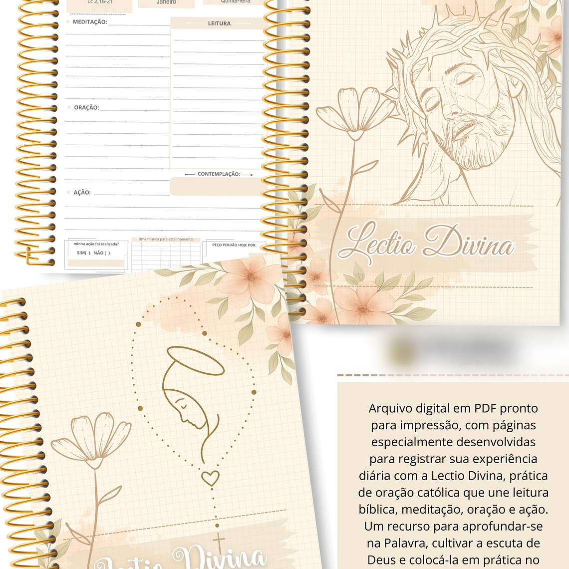 Arquivo Lectio Divina 2026 2