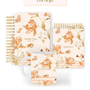 Arquivo Encadernação Coleção Abstrato Laranja 2026 - Pamella Vieira