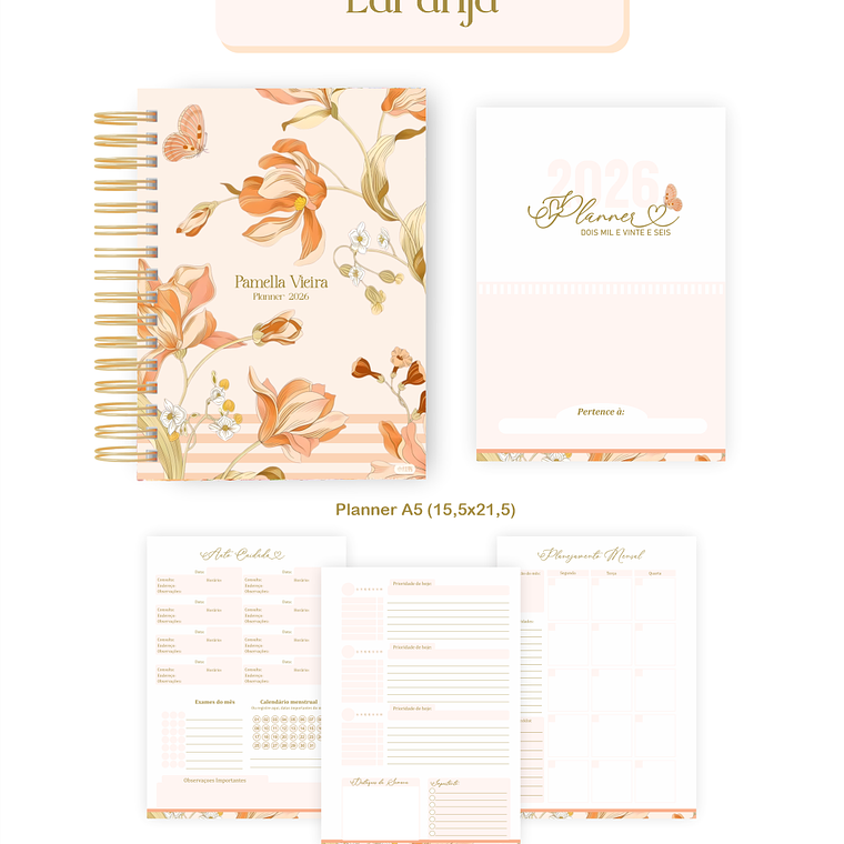 Arquivo Encadernação Coleção Abstrato Laranja 2026 - Pamella Vieira 2