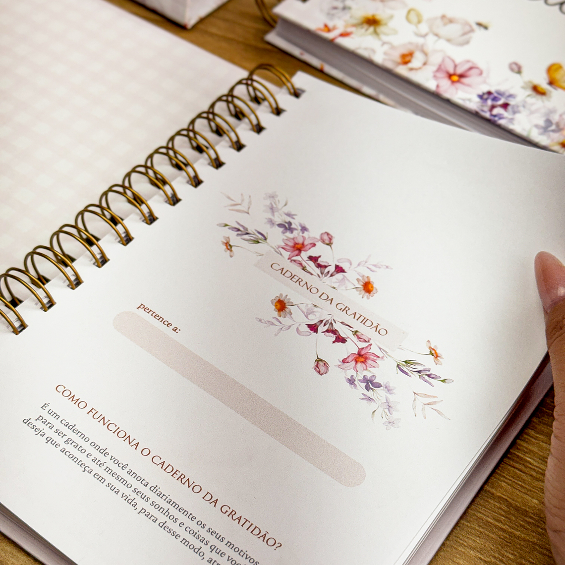 Arquivo Caderno da Gratidão 3